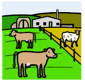 Farm Animals