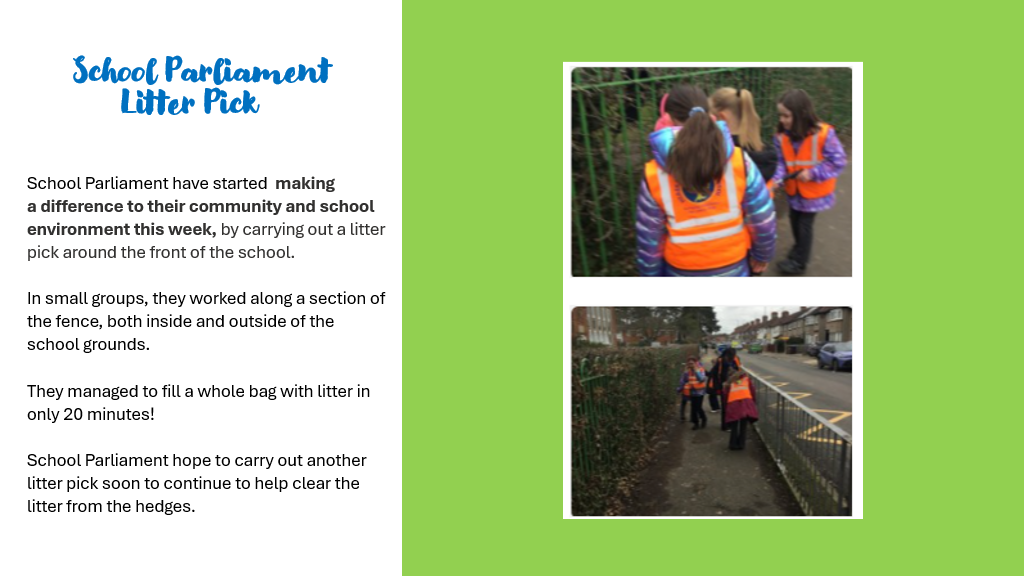 School Parliament Litter Pick